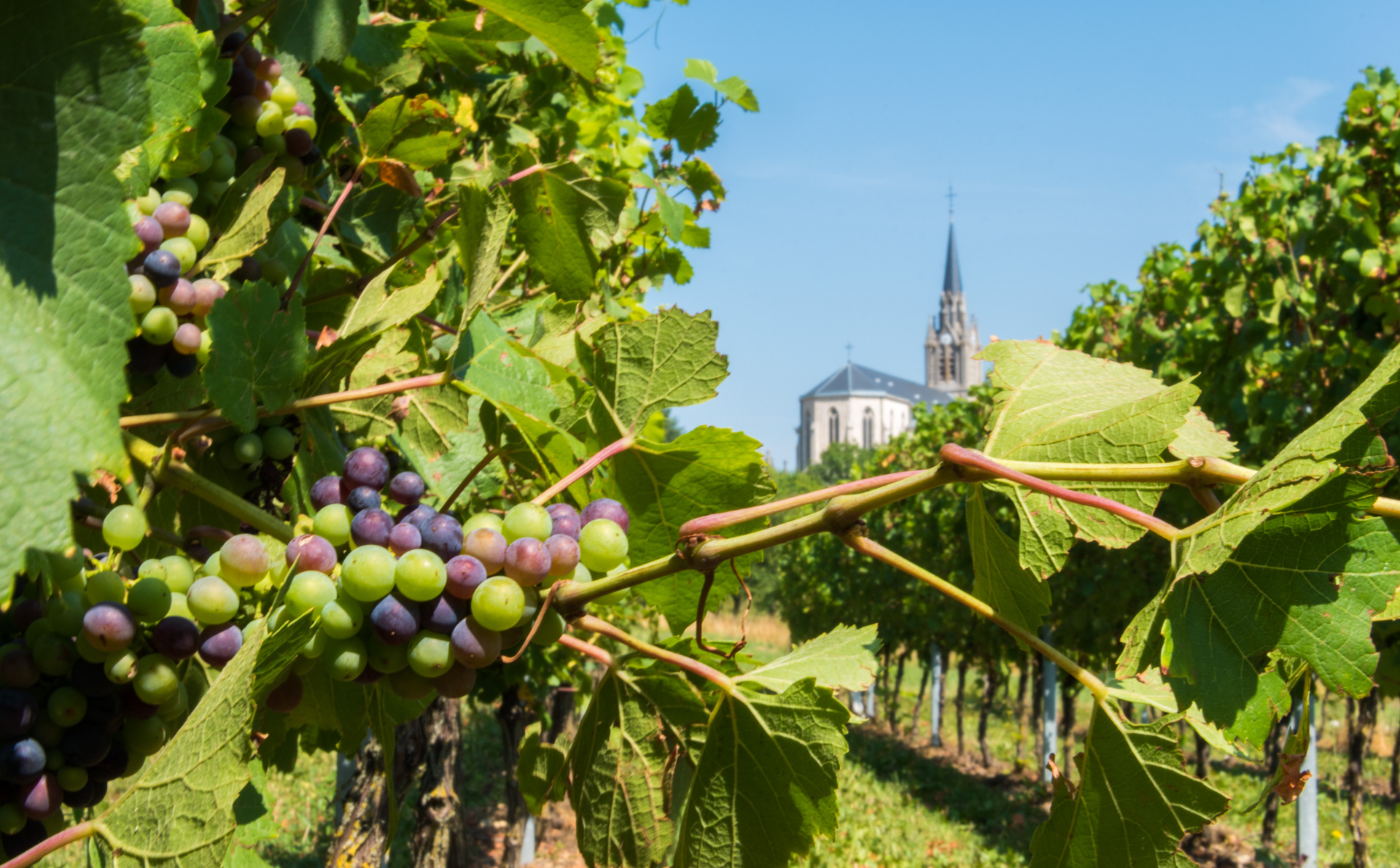 Un beau village de France dans le Toulois, église saint Martin et la Chapelle du Rosaire de Bruley.