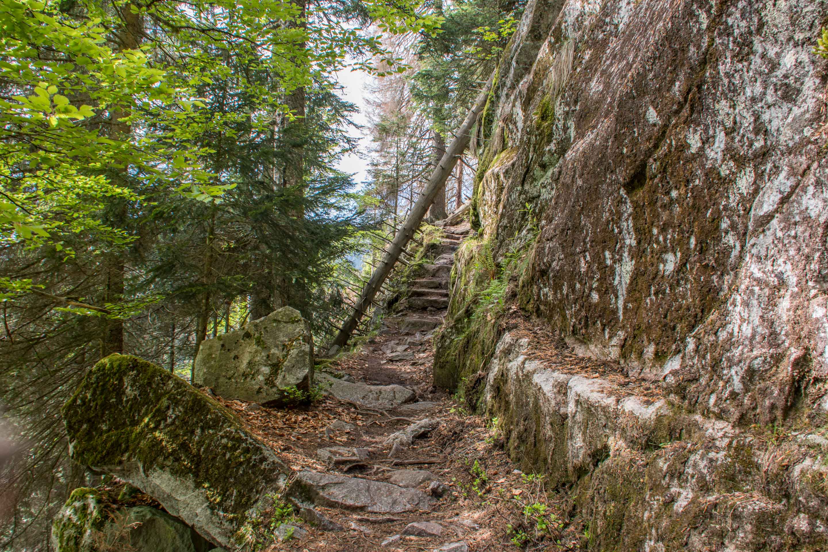 randonnée Vosges - Sentier des roches