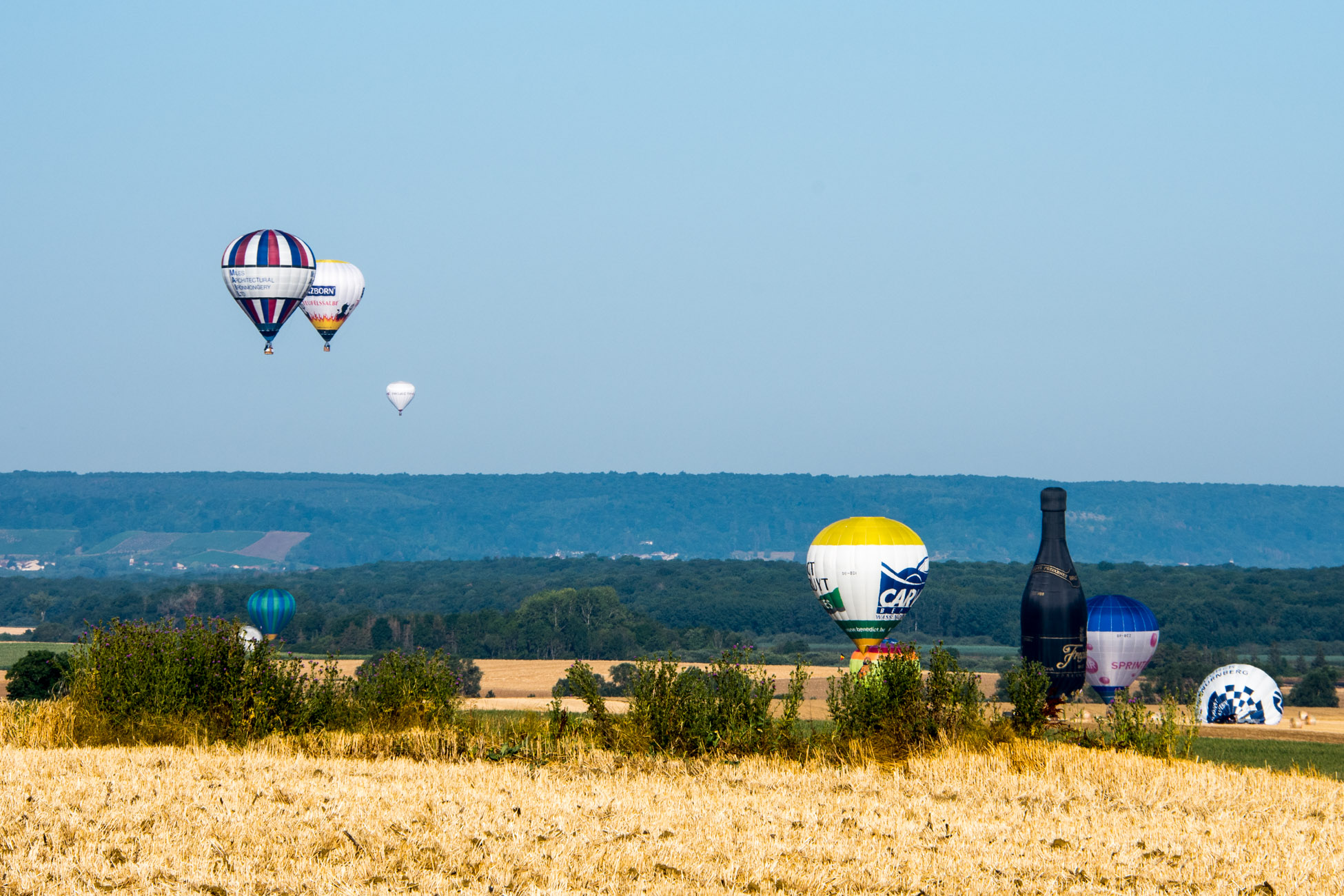 Des centaines de montgolfières dans la campagne Lorraine