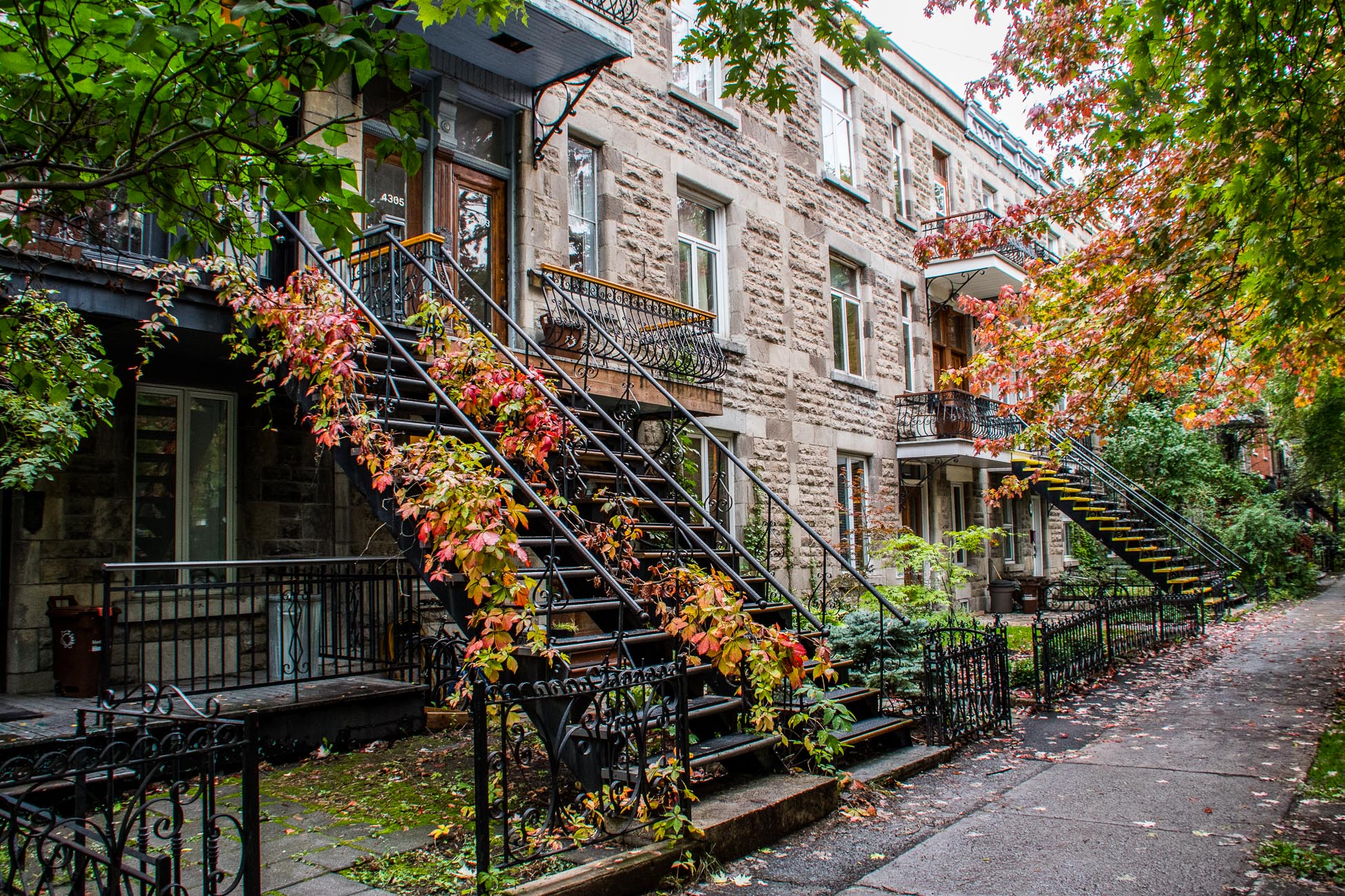 Montréal, quartier Mont-Royal