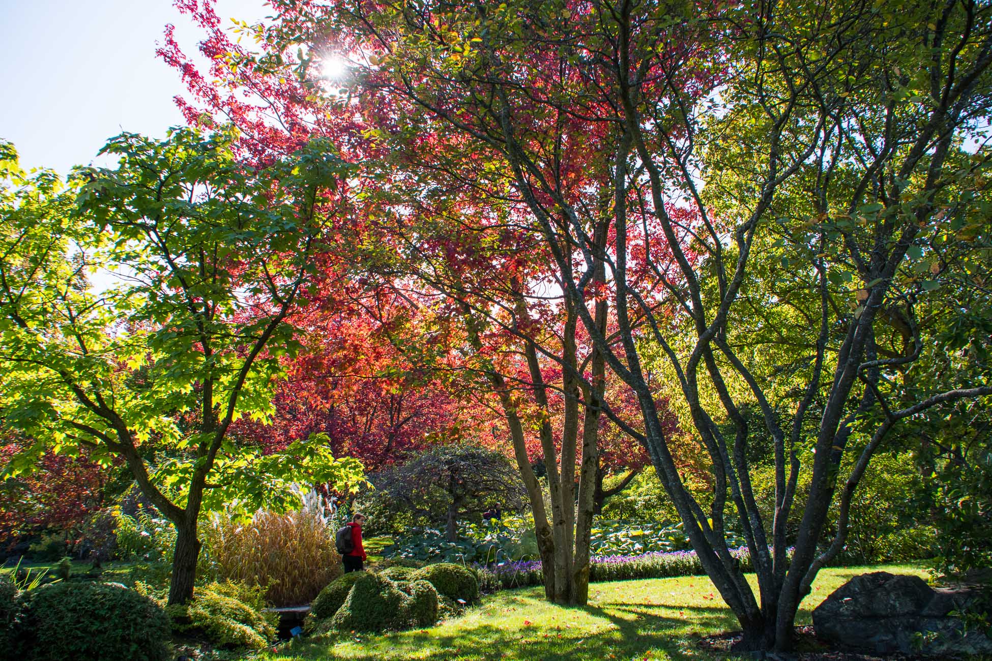 Montréal, Jardin botanique