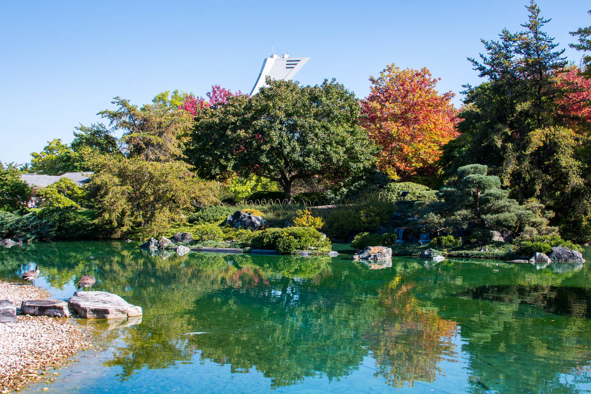 Montréal, Jardin botanique et stade olympique