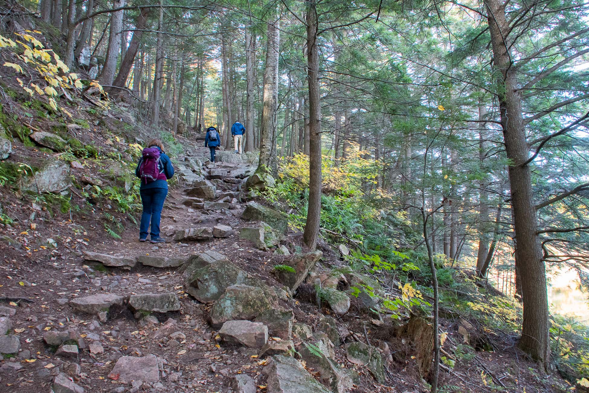 parc de la Gatineau, sentier, randonnée