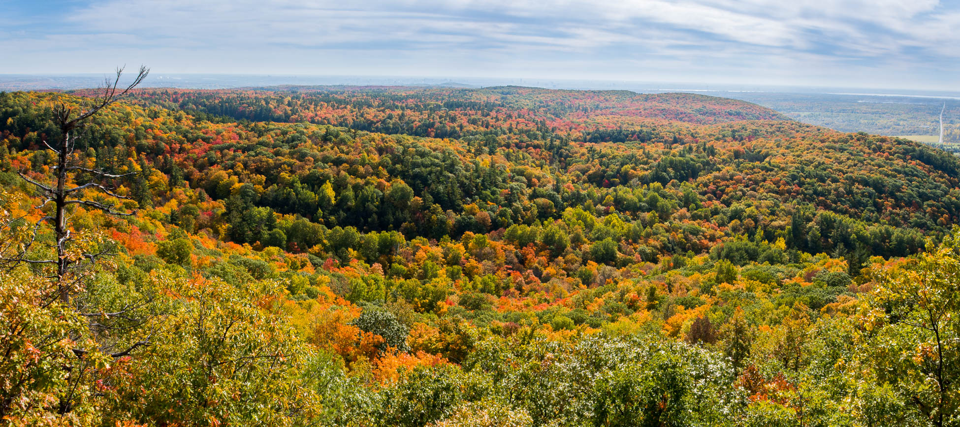 parc de la Gatineau, sentier, randonnée, vue, belvedere 