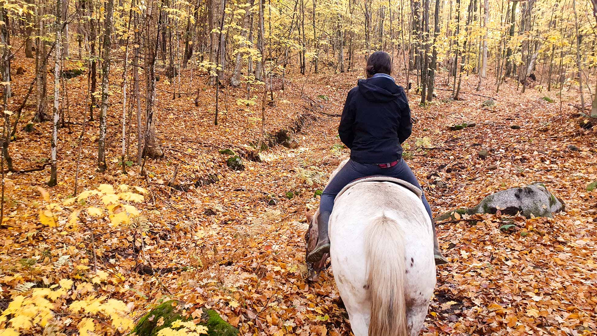 Roadtrip Canada, Mont-tremblant équitation