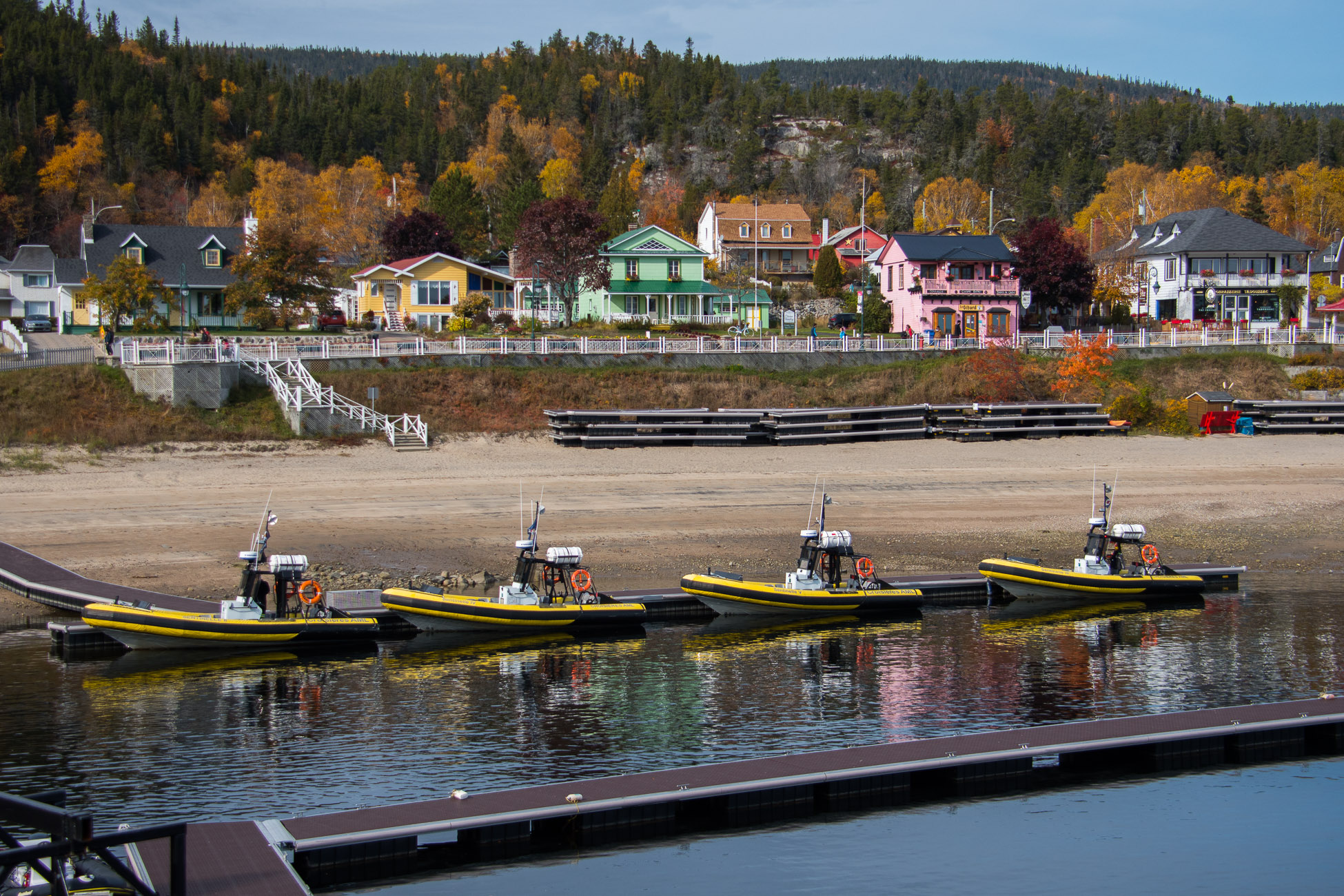 RoadTrip Canada, Tadoussac, croisière aux baleines