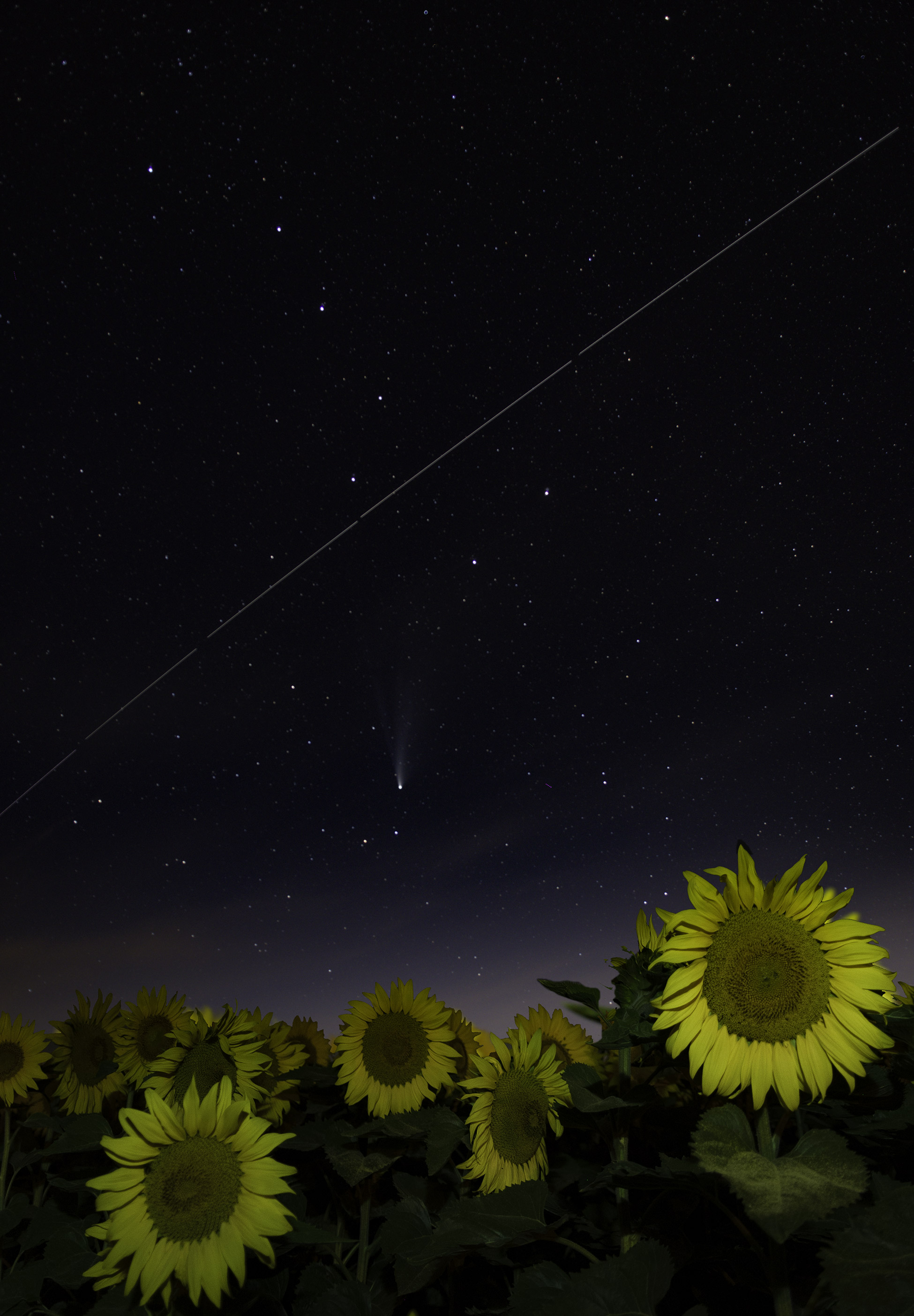 La comète Neowise devant la grande ourse et l'ensemble traversée par la station spatiale internationale ISS