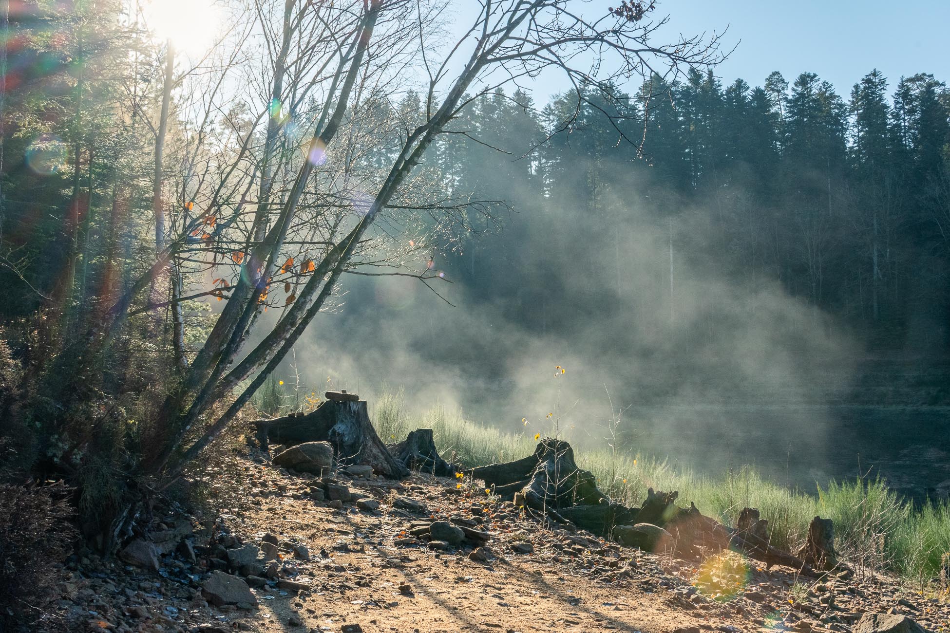 Randonnée Pierre-percée - le petit Canada - brume sur les souches du lac