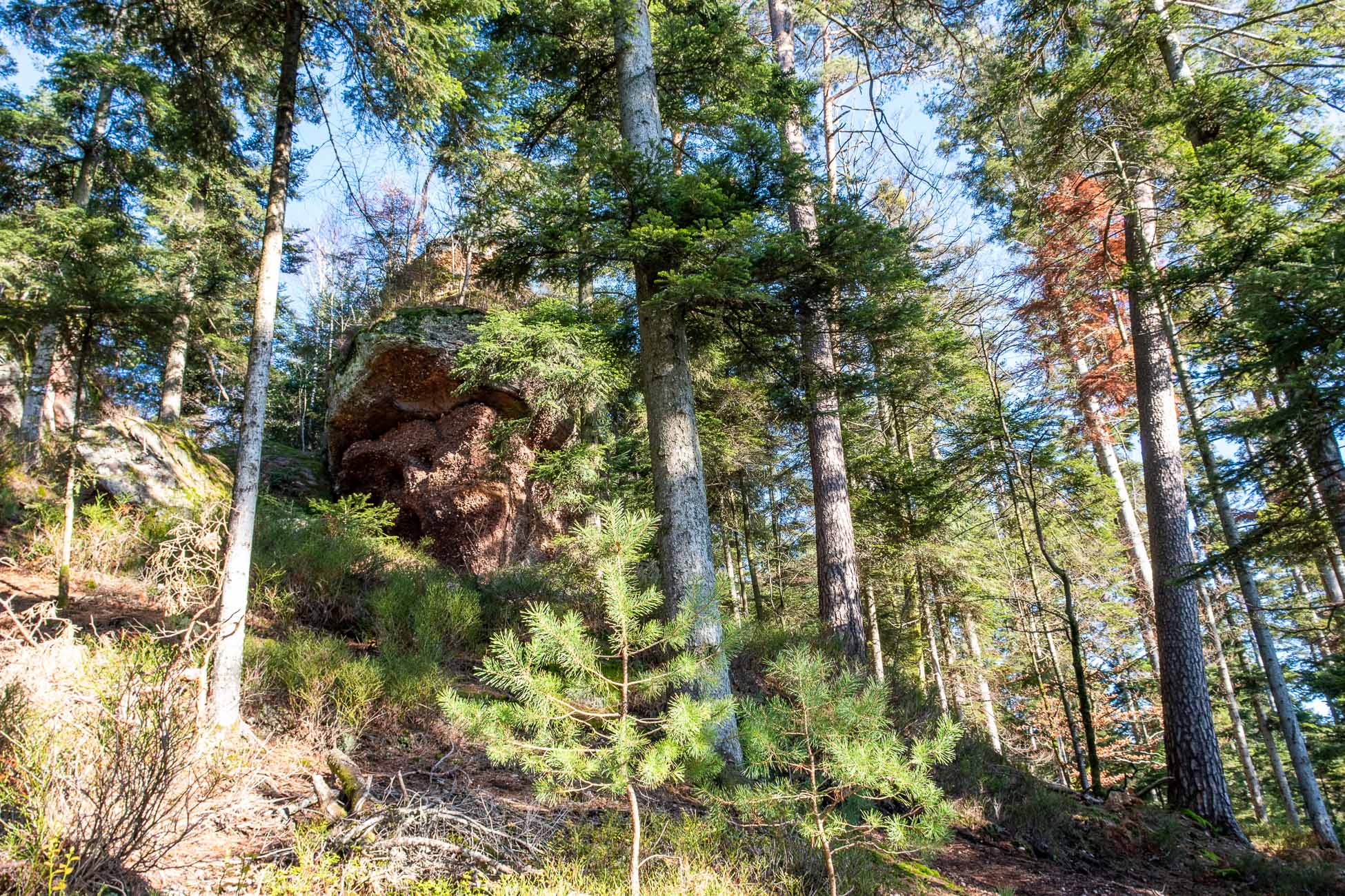 Randonnée Pierre-percée - le petit Canada - Roche de la Xaveur 