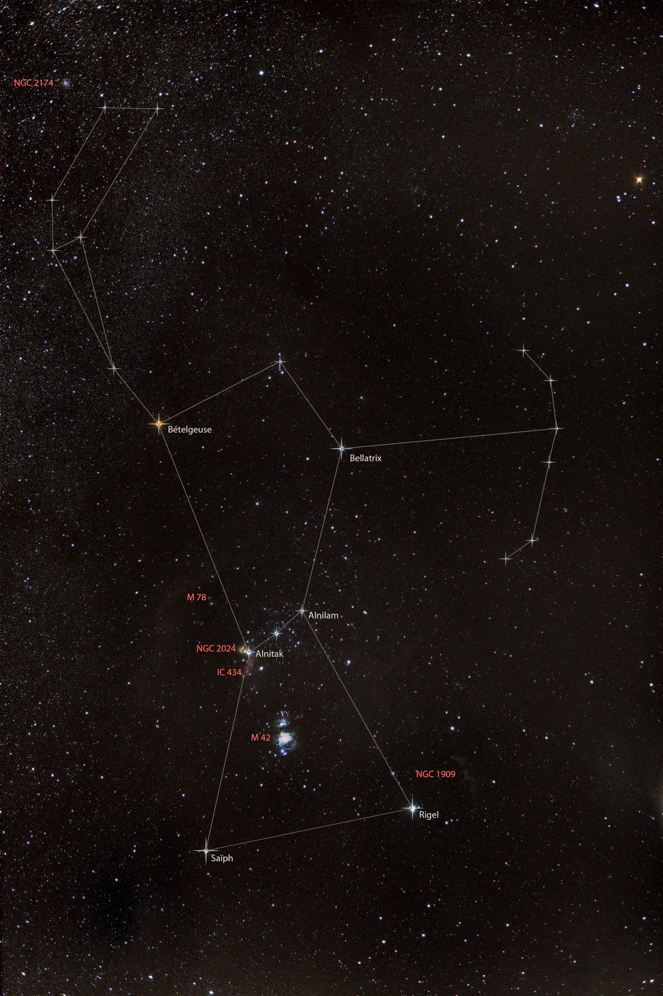 Astrophotographie Constellation d'orion, D7500, Bételgeuse, Bellatrix, Saïph et Rigel, M42, NGC 2024, IC 434