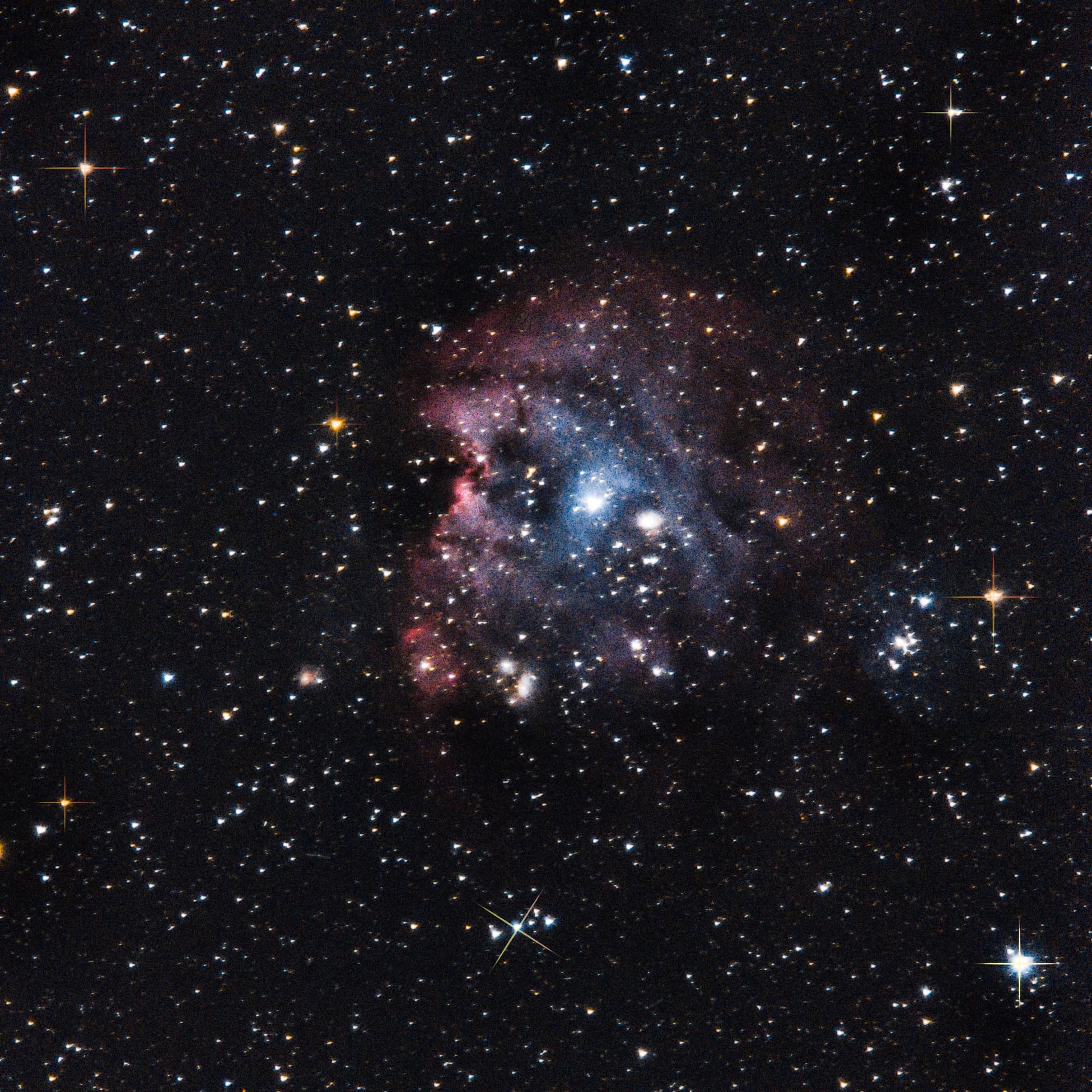 Astrophotographie Constellation d'orion, D7500, NGC 2174